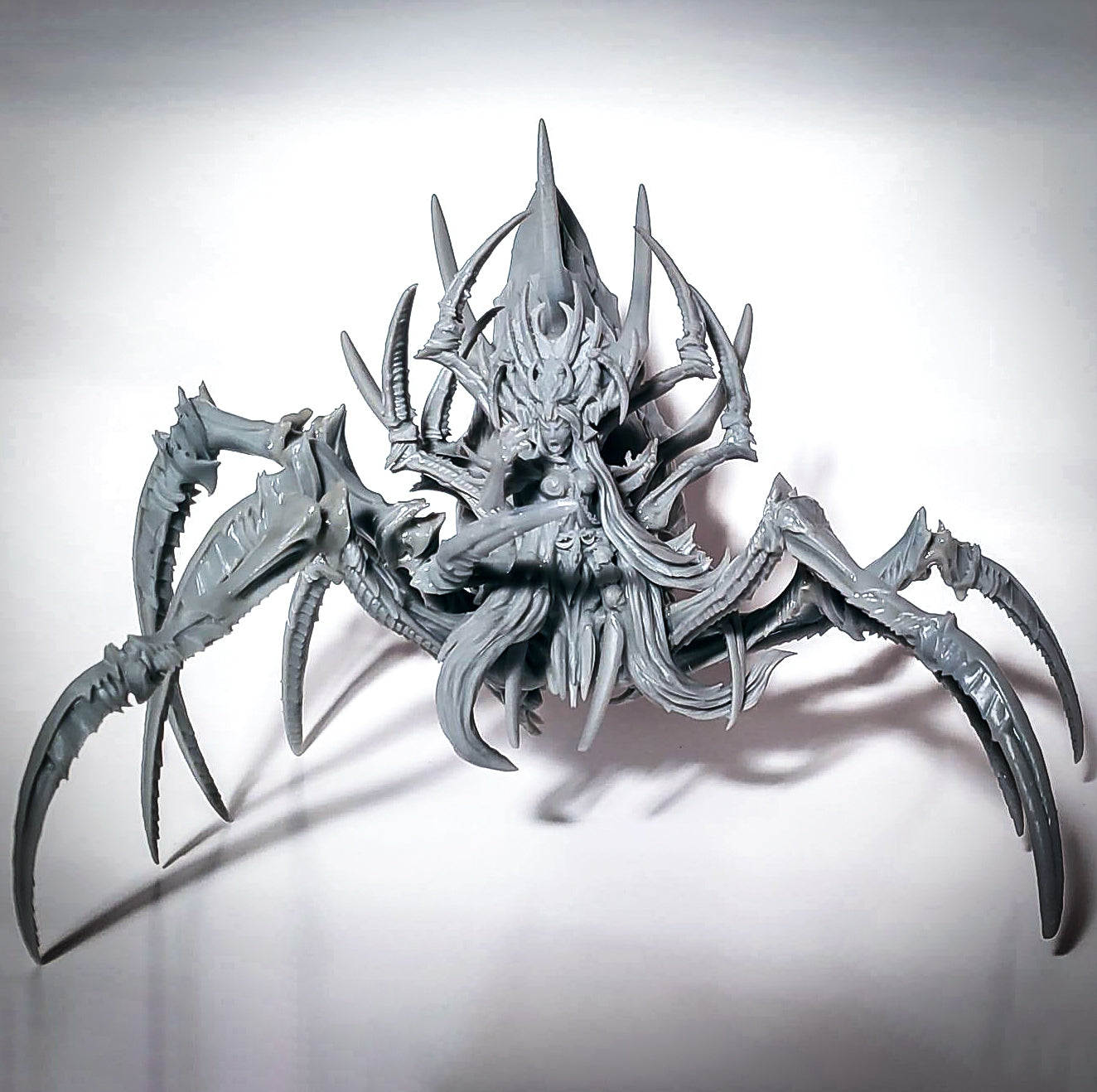 More Spider Photos + last 24h