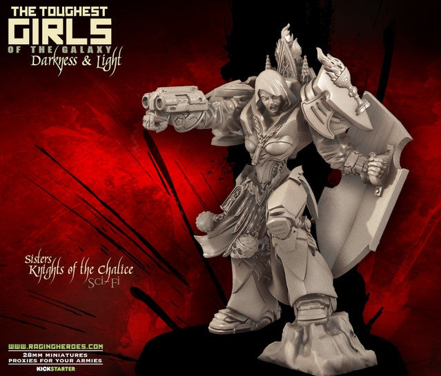 TGG2: Update #50 – (May not be SFW): Knights of the Chalice (Sisters - SF) + Vestal Riders (Dark Elves - F) + Flesh Eaters (Lust Elves - F)