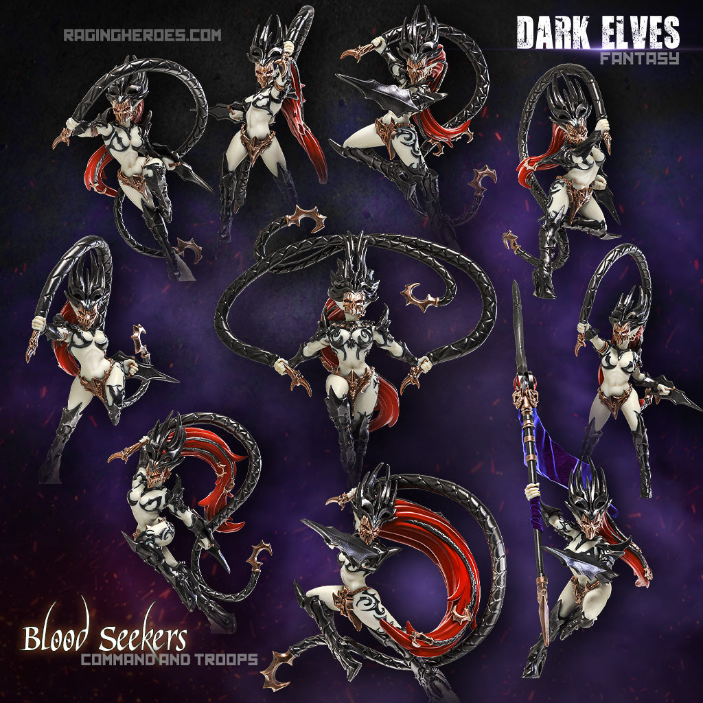 Blood Seekers Command + Troops (DE - F) - Raging Heroes