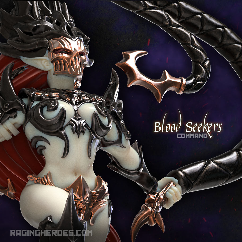 Blood Seekers Command (DE - F) - Raging Heroes