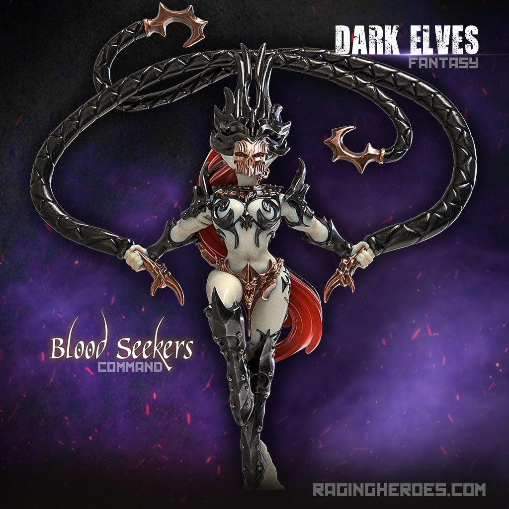 Blood Seekers Command + Troops (DE - F) - Raging Heroes