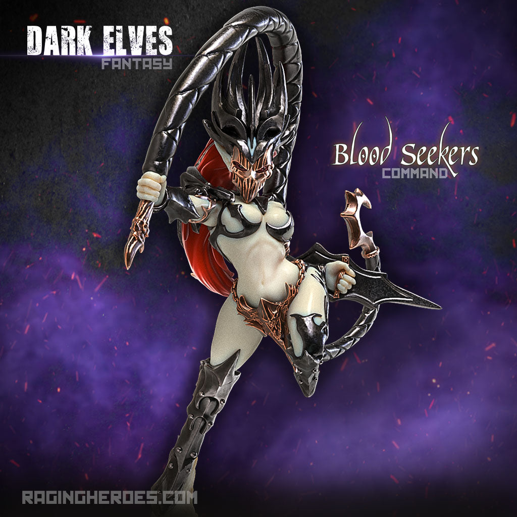 Blood Seekers Command + Troops (DE - F) - Raging Heroes