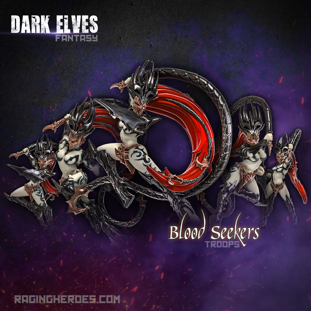 Blood Seekers Command + Troops (DE - F) - Raging Heroes