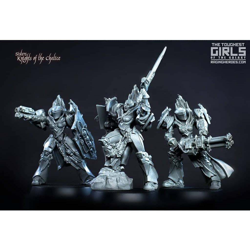 Knights of the Chalice PACK (SoEM - SF) - Raging Heroes