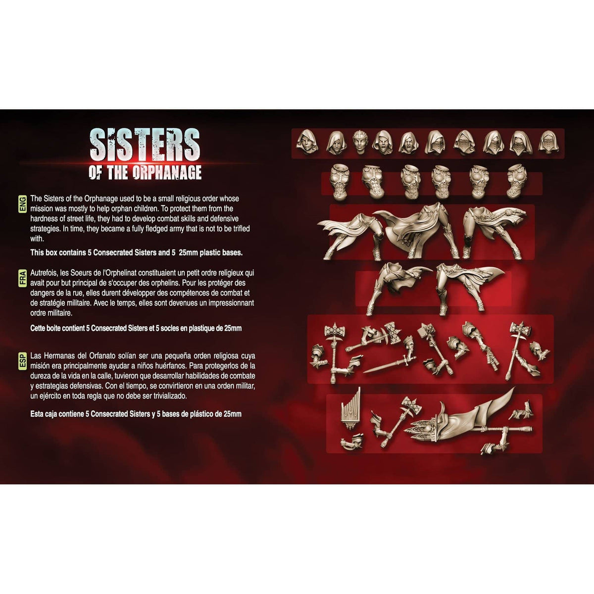 Consecrated Sisters - COMMAND Group (SotO - F) - Raging Heroes