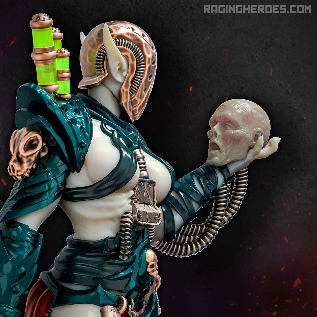 Skinners Command Group (VE - SF) - Raging Heroes