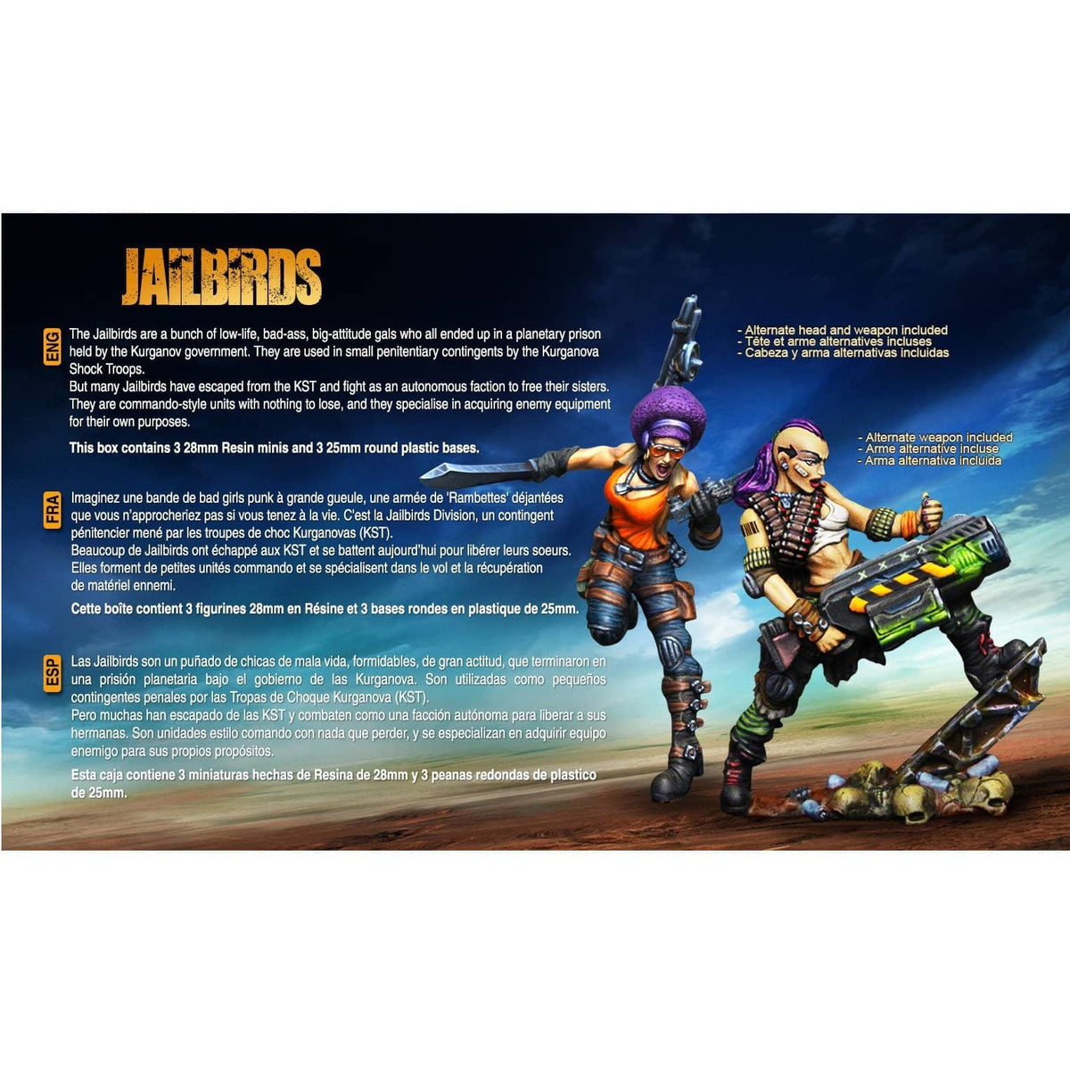 Heroines Box Jailbirds 2 - Raging Heroes